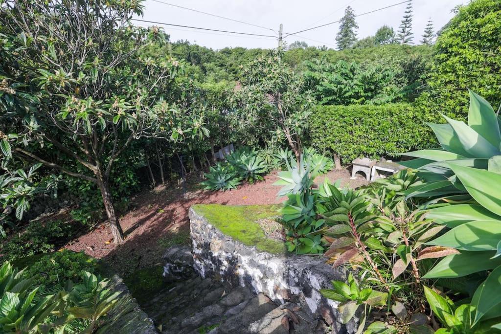 O Nosso Refugio Água de Pau Exterior foto